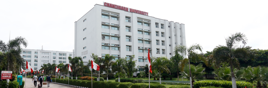 Chandigarh University Online​